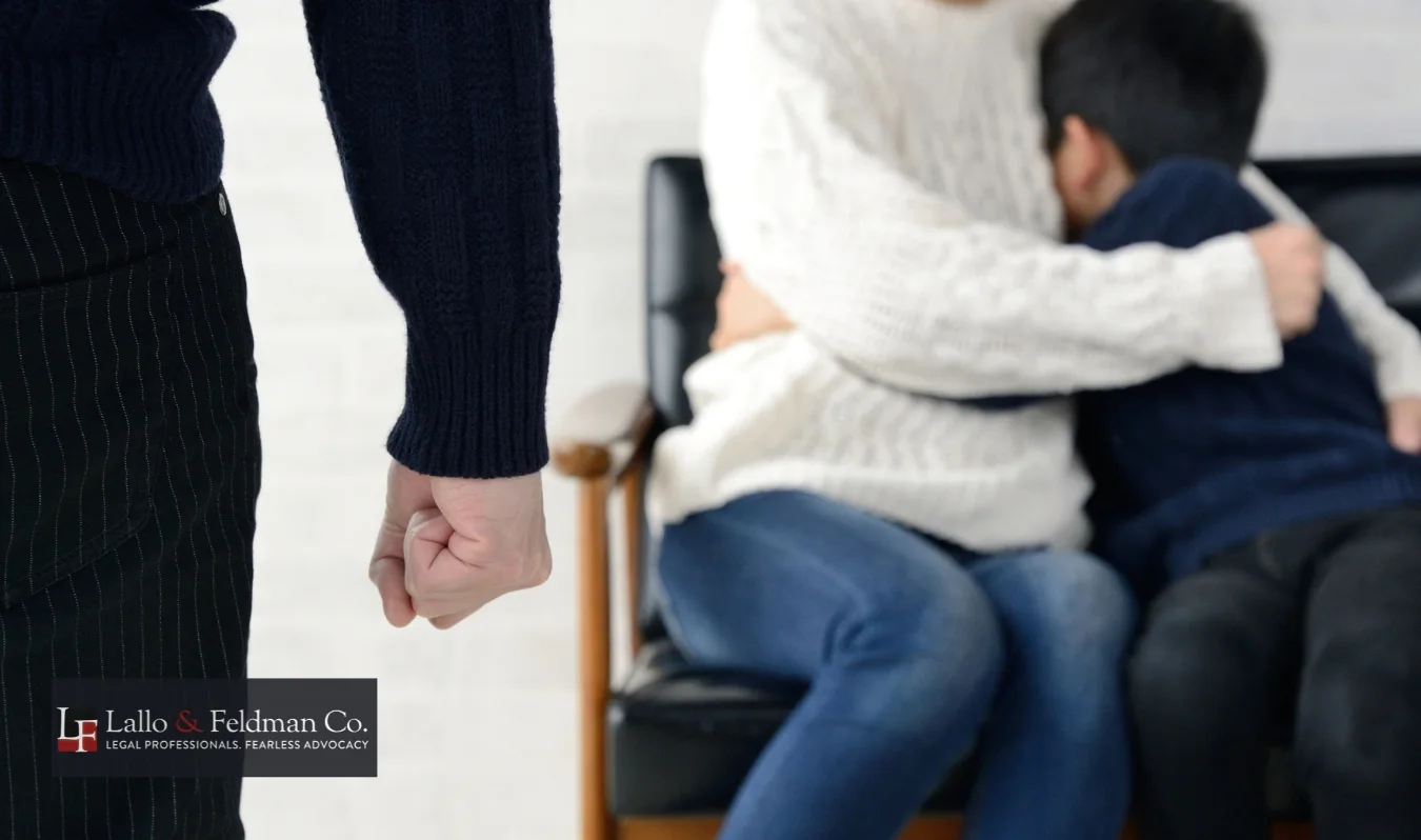 mentor domestic violence defense lawyer