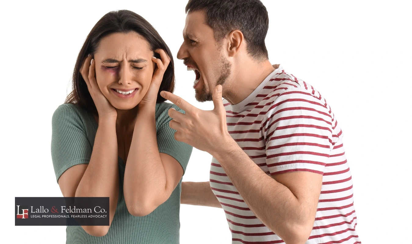 painesville domestic violence defense lawyer