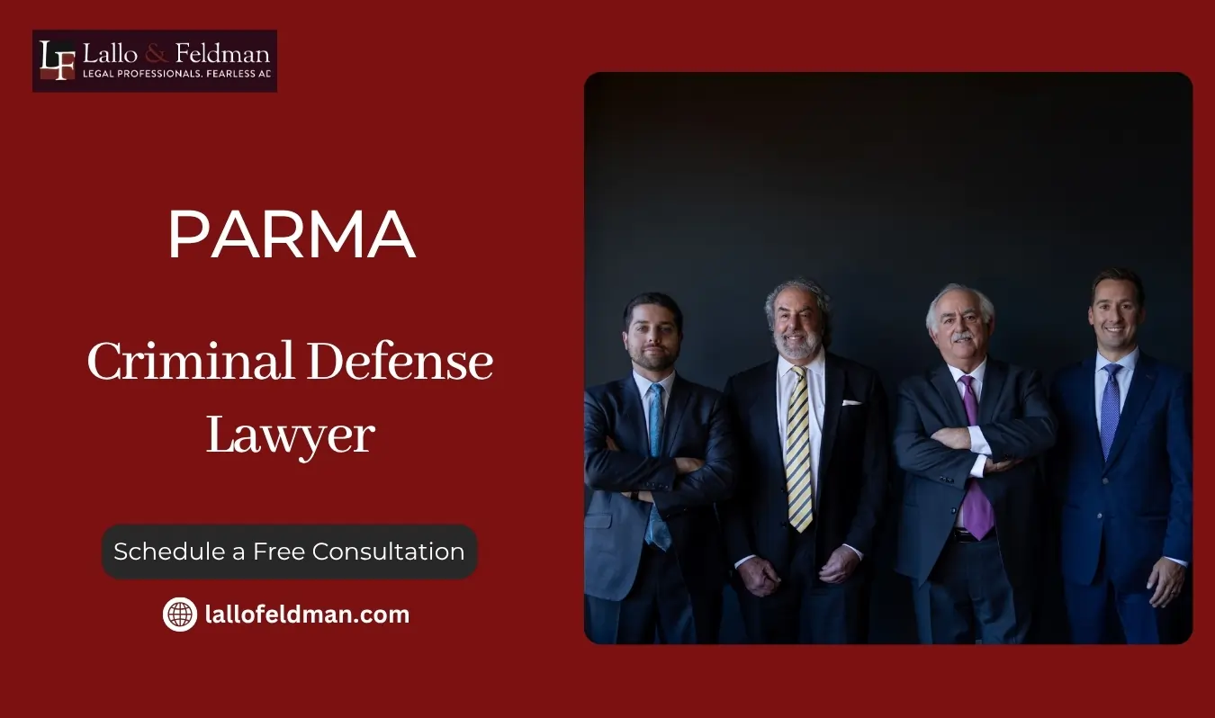 best parma criminal defense lawyer