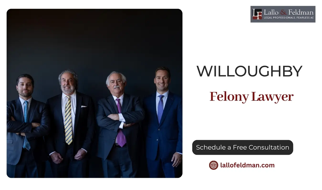 best willoughby felony lawyer best willoughby felony lawyer