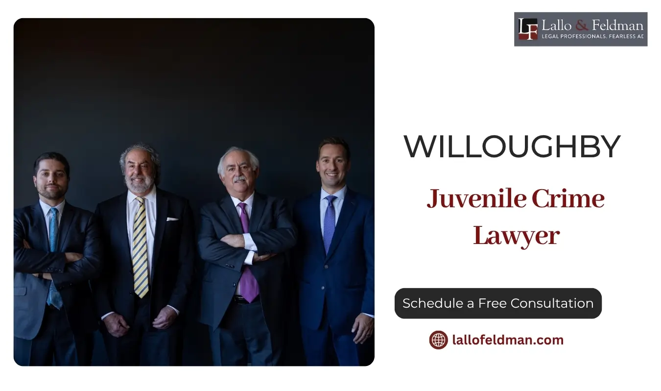 best willoughby juvenile crime lawyer