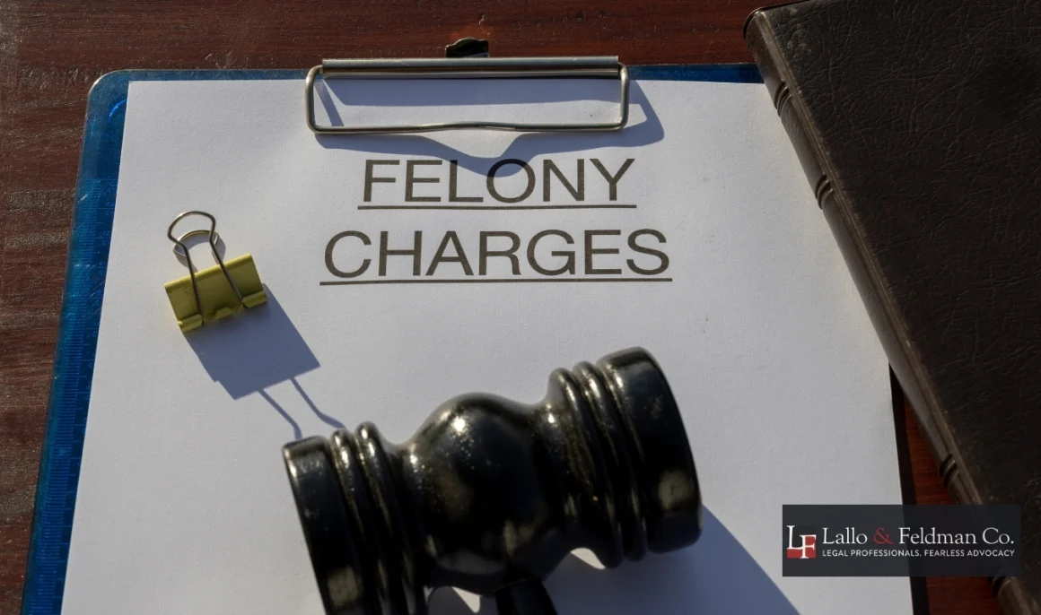how felony cases move through the lake county court of common pleas in painesville