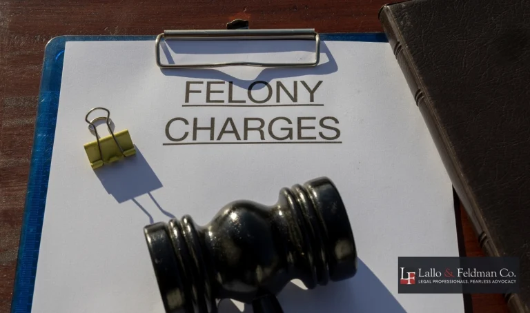 how felony cases move through the lake county court of common pleas in painesville